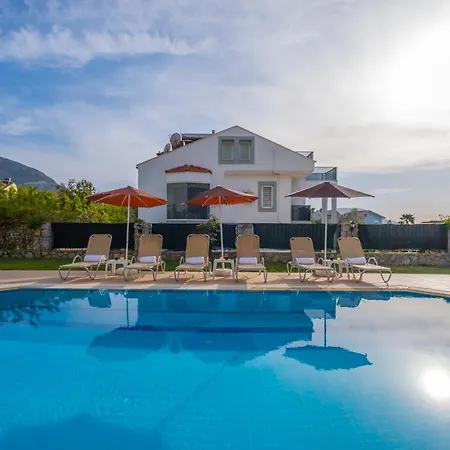 إنفينيتي تشيفان فيلة