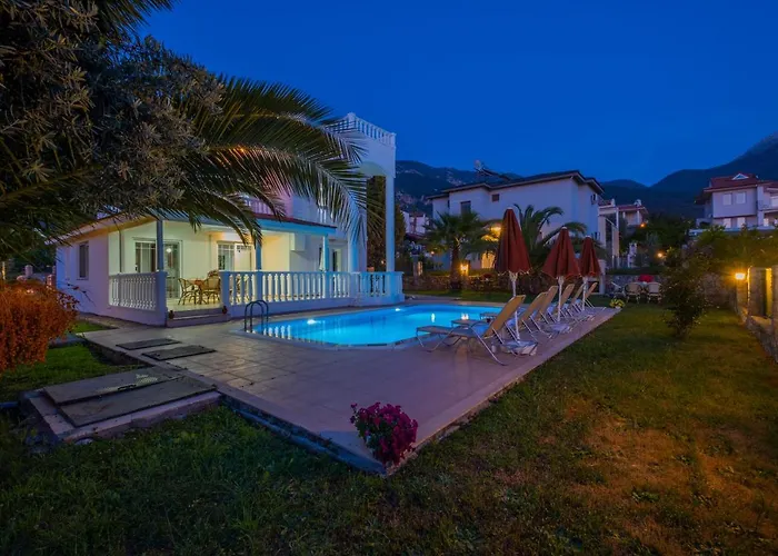 إنفينيتي تشيفان فتحية