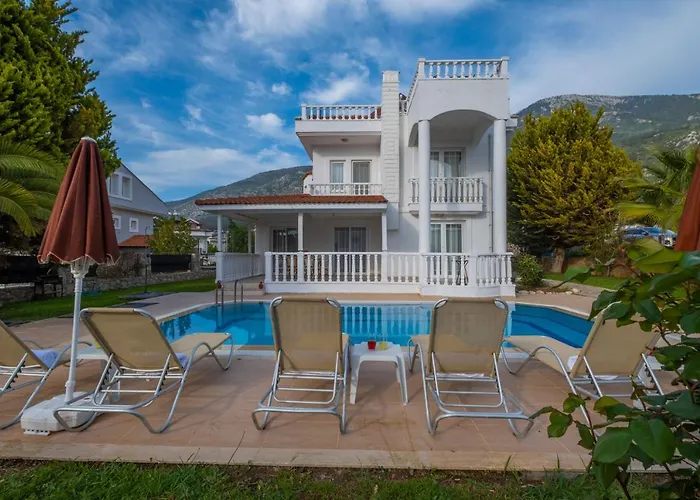 إنفينيتي تشيفان فتحية