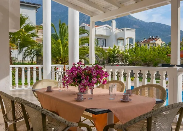 إنفينيتي تشيفان * فتحية