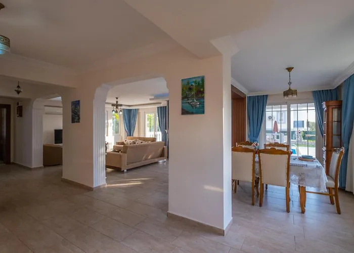 فيلة إنفينيتي تشيفان فتحية