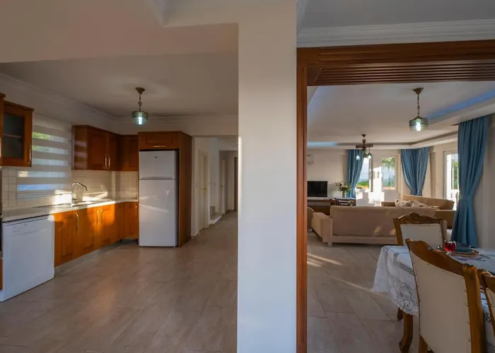 إنفينيتي تشيفان * فتحية