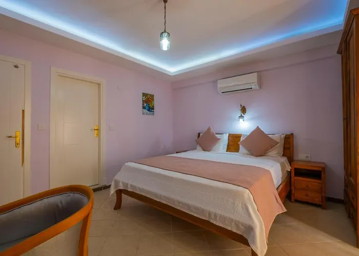 إنفينيتي تشيفان فتحية