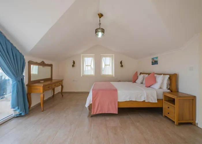 فيلة إنفينيتي تشيفان فتحية