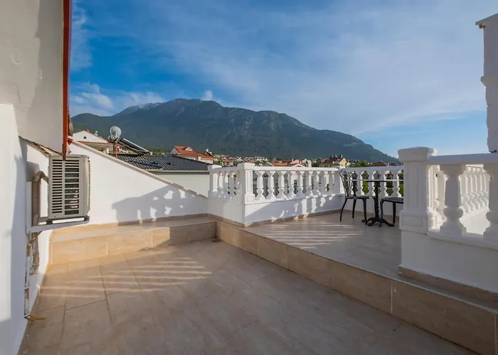 فيلة إنفينيتي تشيفان