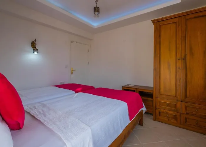 إنفينيتي تشيفان فتحية