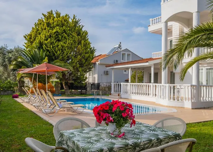 إنفينيتي تشيفان *