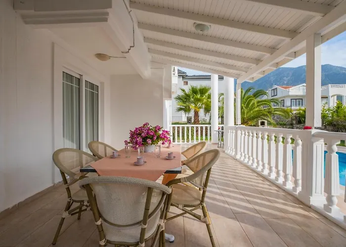 إنفينيتي تشيفان فتحية