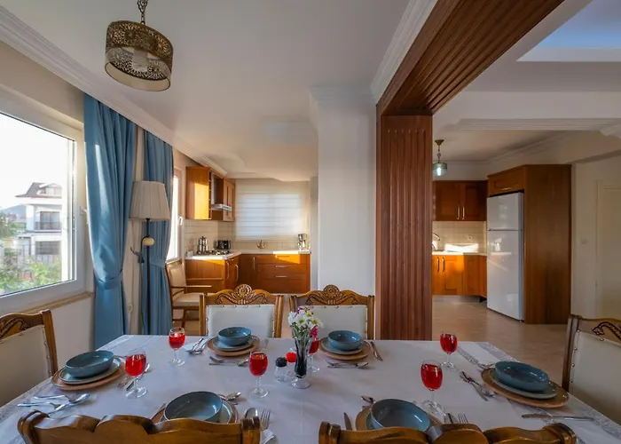 إنفينيتي تشيفان فتحية