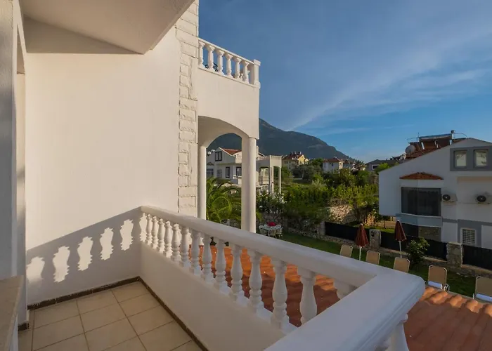 إنفينيتي تشيفان فتحية