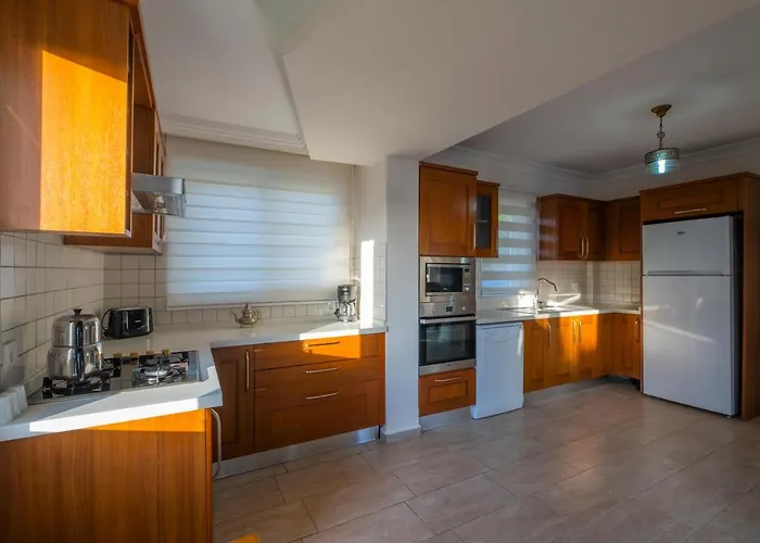 فيلة إنفينيتي تشيفان فتحية