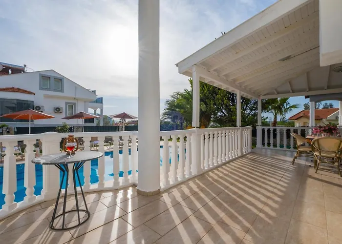 إنفينيتي تشيفان فيلة