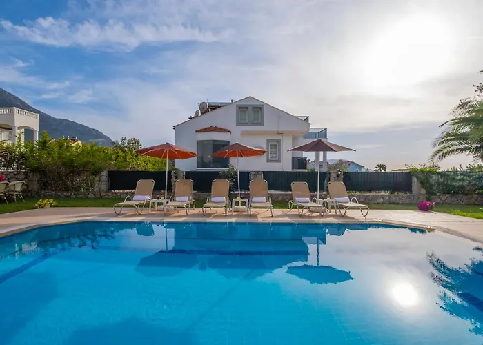 إنفينيتي تشيفان فيلة