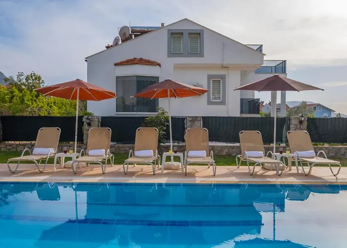 إنفينيتي تشيفان * فتحية