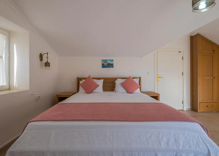 فيلة إنفينيتي تشيفان *