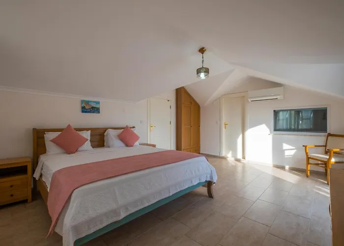 إنفينيتي تشيفان فيلة *