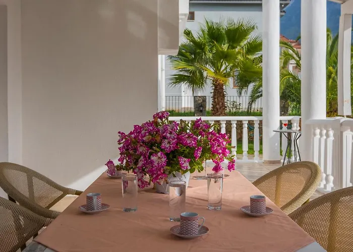 فيلة إنفينيتي تشيفان فتحية