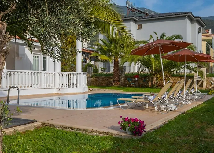 فيلة إنفينيتي تشيفان *