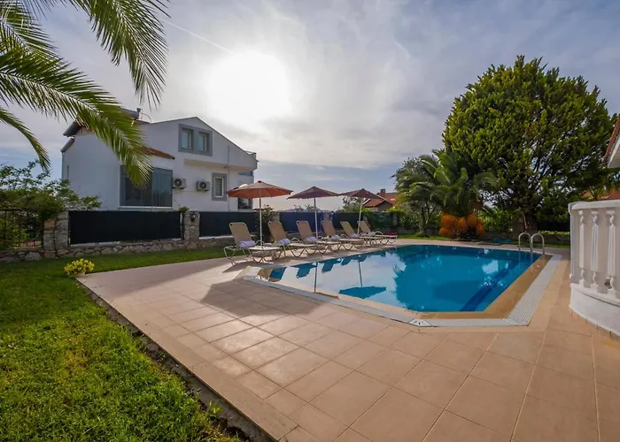 إنفينيتي تشيفان فيلة