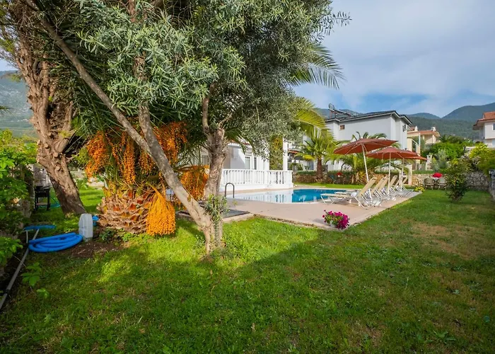 إنفينيتي تشيفان * فتحية