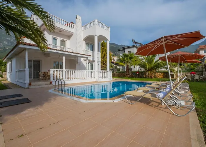 إنفينيتي تشيفان *