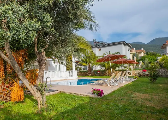 إنفينيتي تشيفان