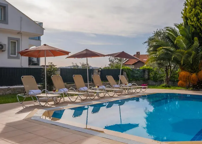 فيلة إنفينيتي تشيفان *