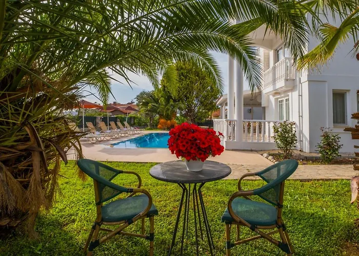 إنفينيتي تشيفان فيلة