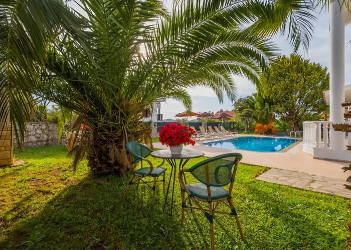 إنفينيتي تشيفان